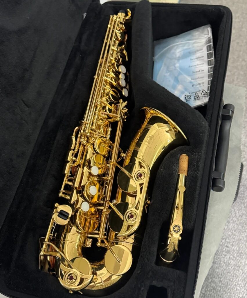 Guldfarvet altsaxofon i sin kuffert