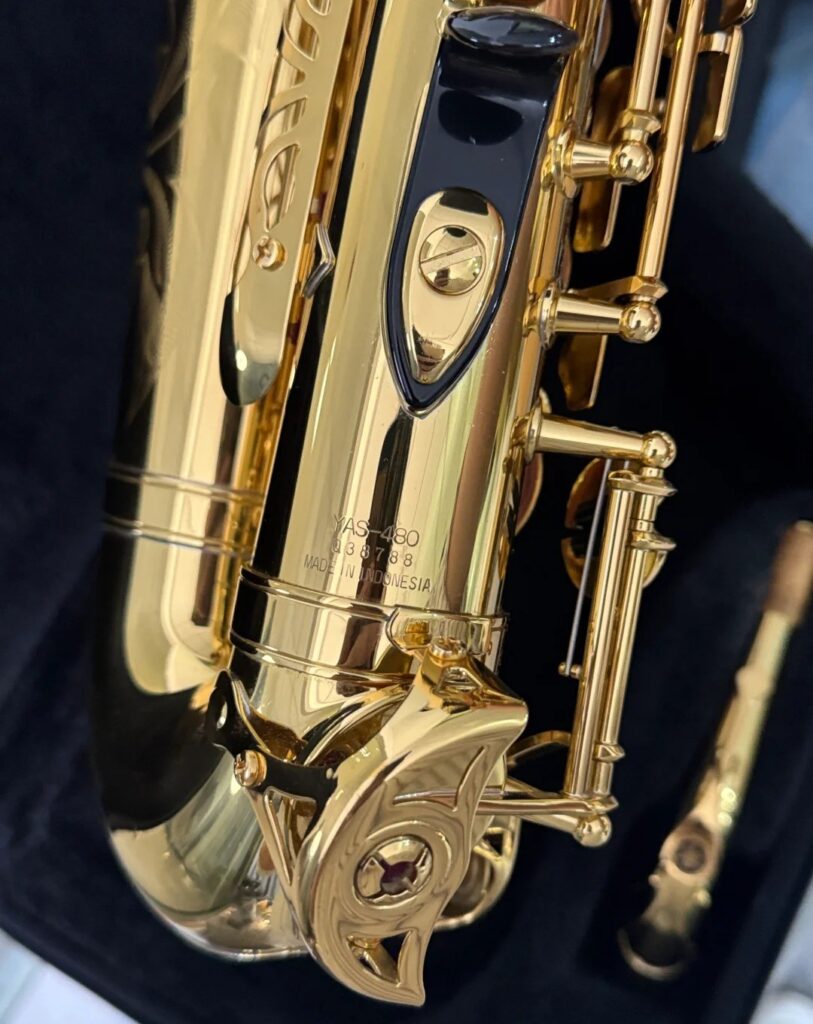 Altsaxofon opbevaret i sin kuffert