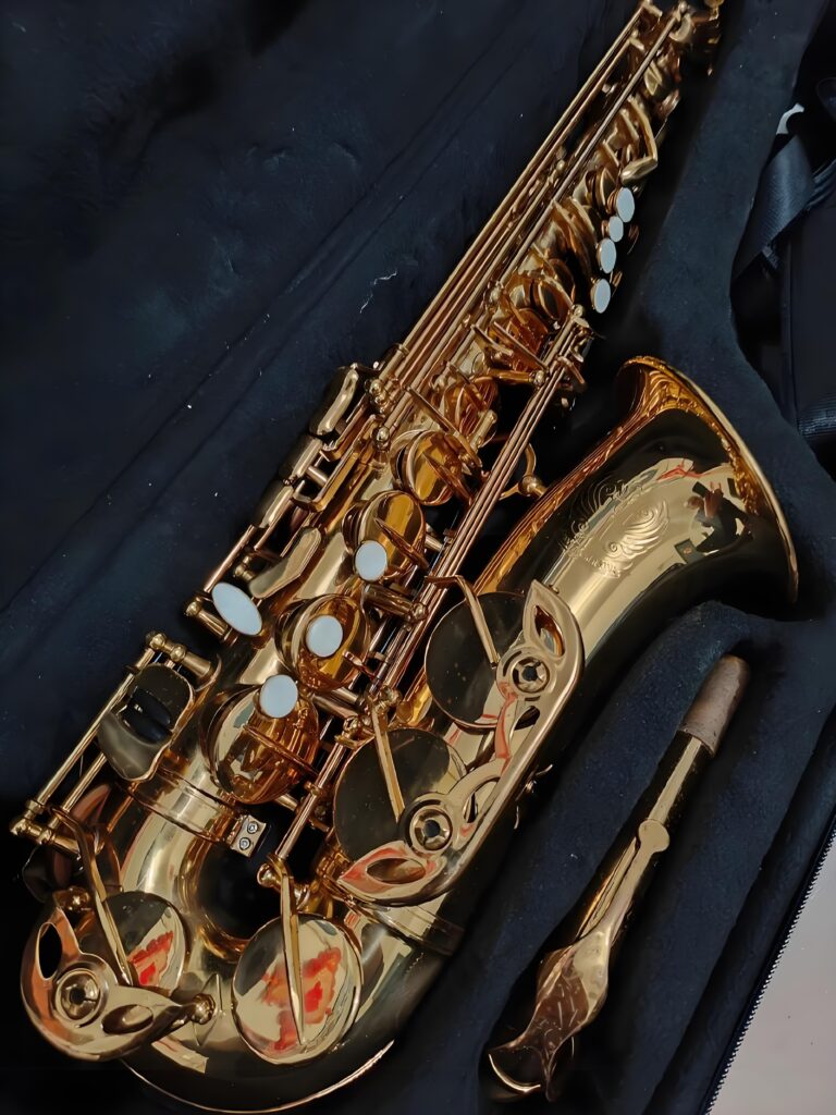 Alt-Saxophon in seinem Koffer
