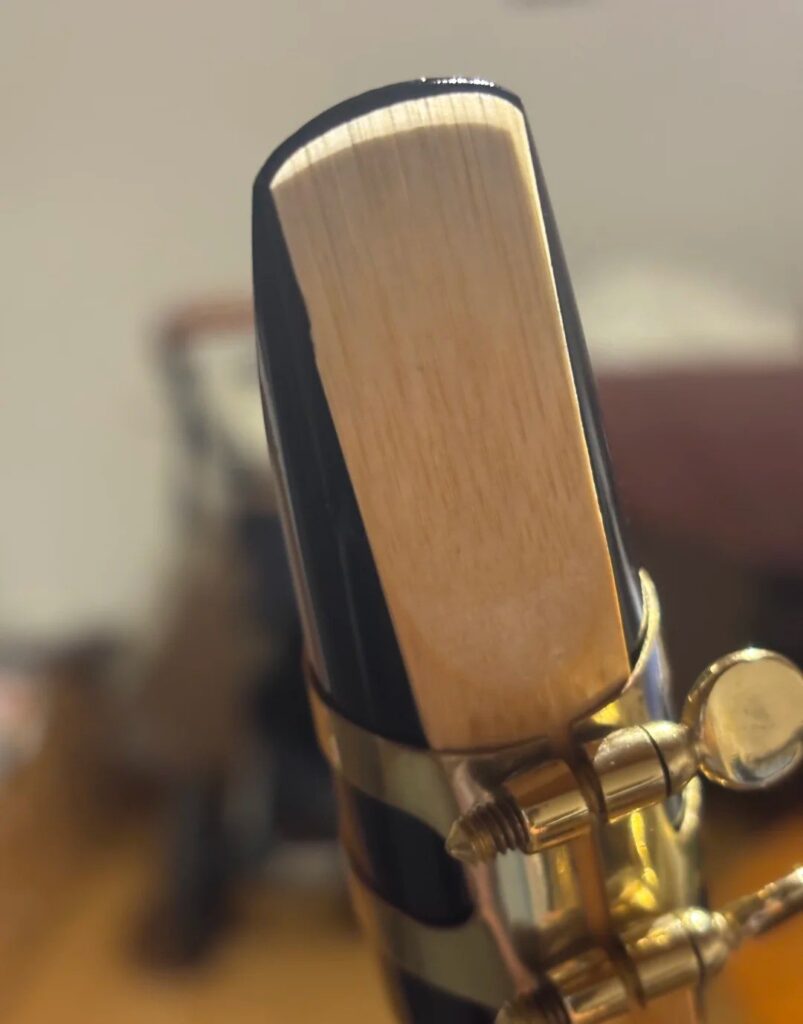 Nahaufnahme eines Saxophon-Blatts auf dem Mundstück mit Blattschraube
