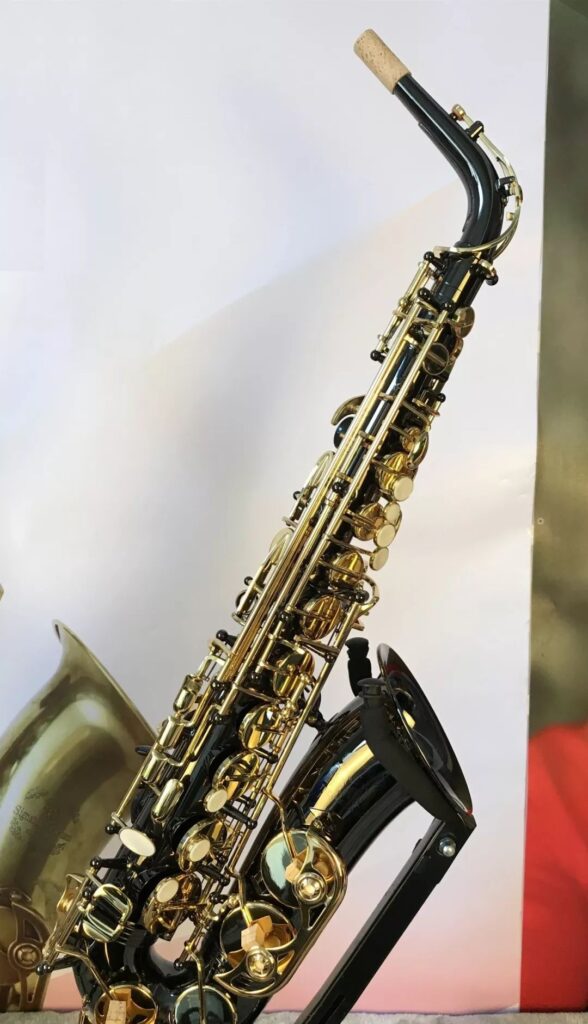 Black and gold Trevor James alto saxophone on a stand