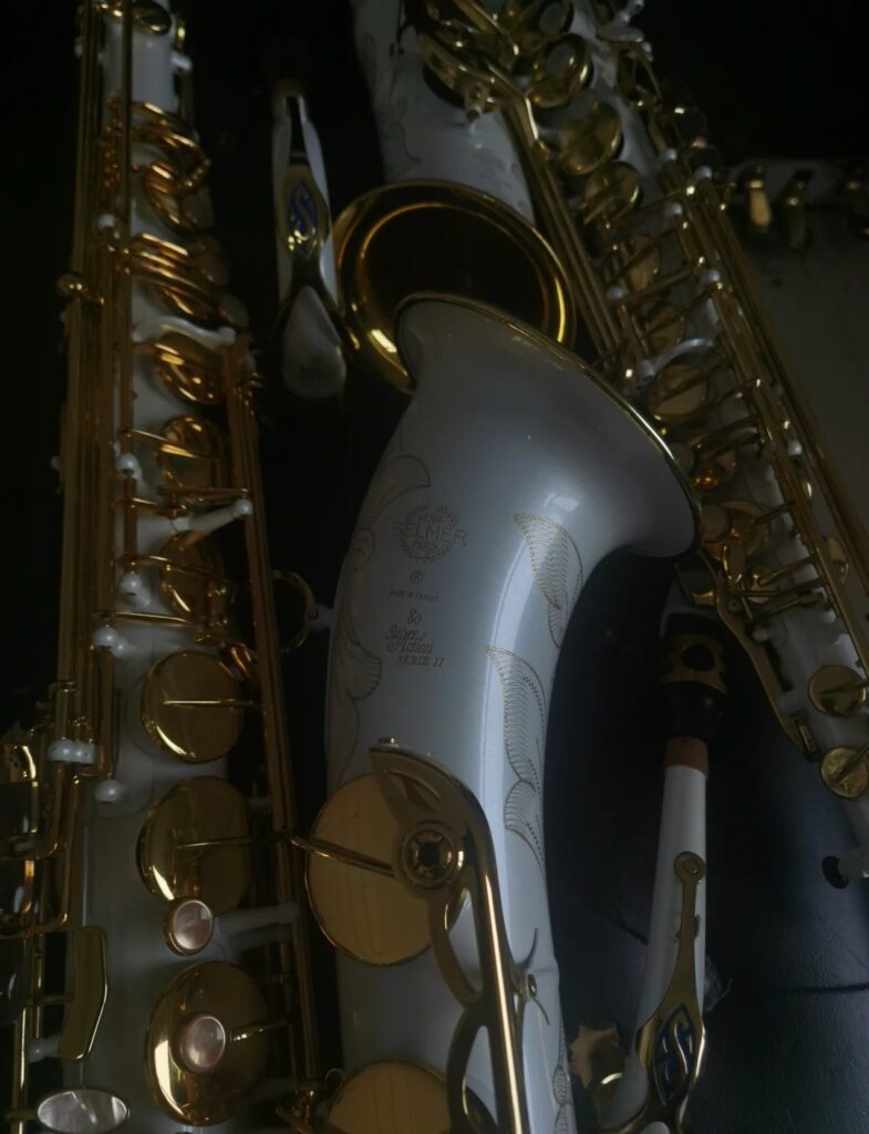 Selmer saxophone alto professionnel finition premium