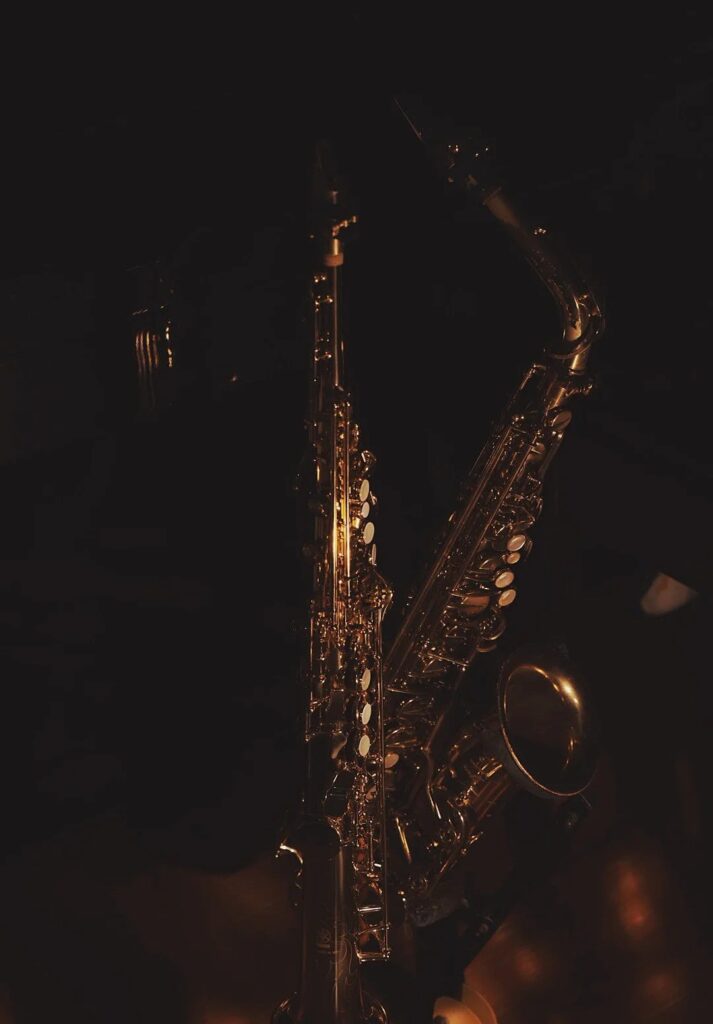 Saxophone alto Yanagisawa intermédiaire pour musicien confirmé