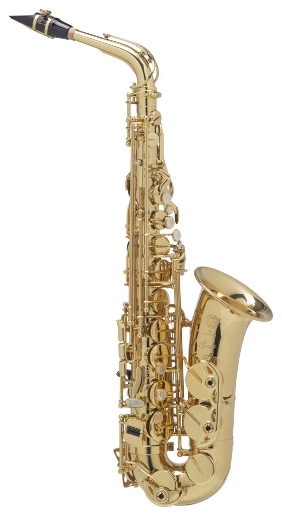 Selmer Paris Axos alto